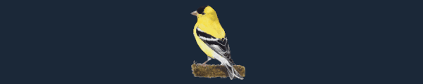 展翅翱翔/WINGSPAN（更新大洋洲篇DLC v12.12.2023）-资源网