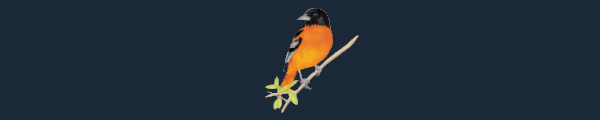 图片[4]-展翅翱翔/WINGSPAN（更新大洋洲篇DLC v12.12.2023）-资源网