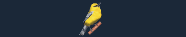 图片[3]-展翅翱翔/WINGSPAN（更新大洋洲篇DLC v12.12.2023）-资源网