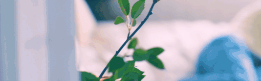 太轻易坠入爱河/Love Too Easily-资源网