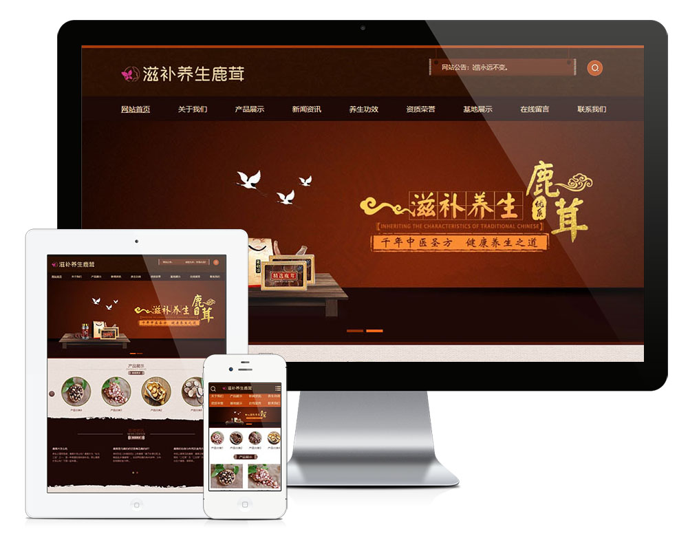 保健品网站建设|养生保健网站模板-资源网
