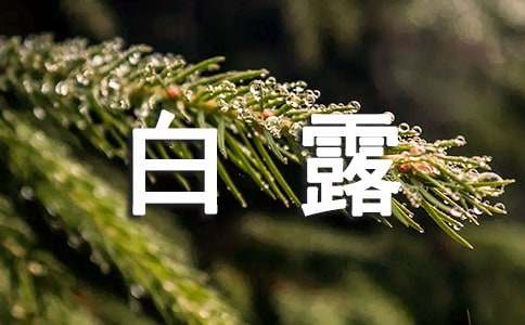 白露节气祝福语280句-资源网