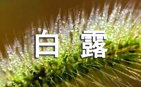 经典白露养生祝福语-资源网