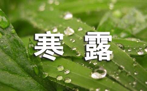 寒露节气祝福语（精选200句）-资源网
