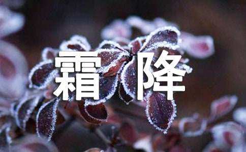 霜降养生祝福语大全-资源网