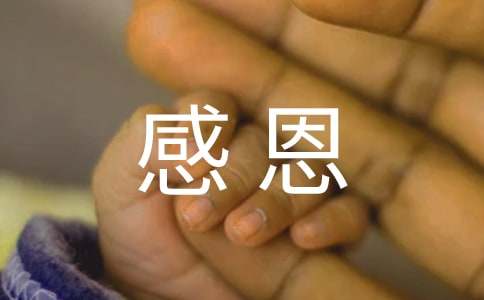 感恩实践活动日记-资源网