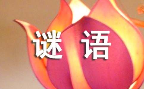经典谜语及答案-资源网