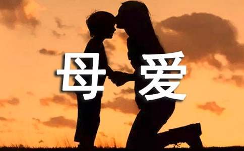 关于伟大的母爱日记（通用33篇）-资源网