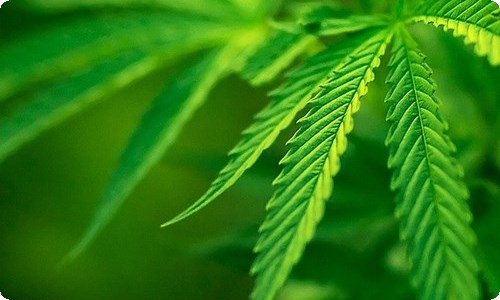 大学生面试自我介绍合集15篇-资源网