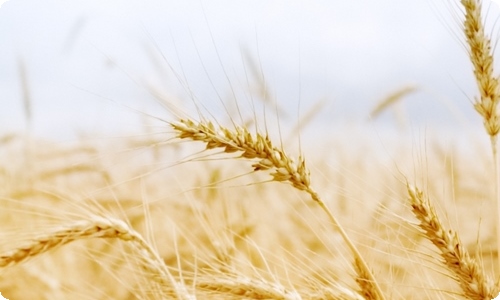 环保倡议书-资源网