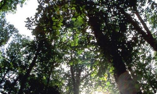 万圣节活动策划-资源网