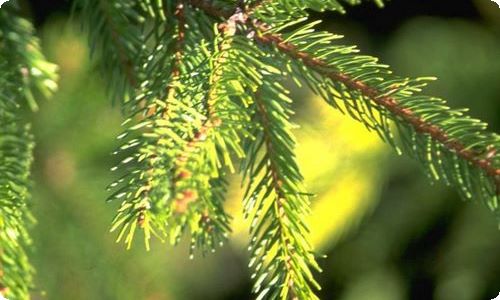 万圣节活动策划方案(15篇)-资源网