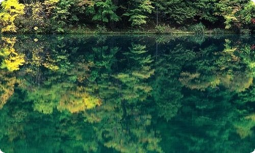 财产保险年终总结-资源网