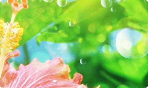 师徒结对工作总结-资源网