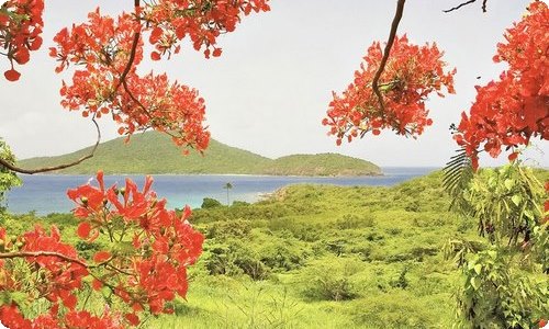 销售员年终总结-资源网
