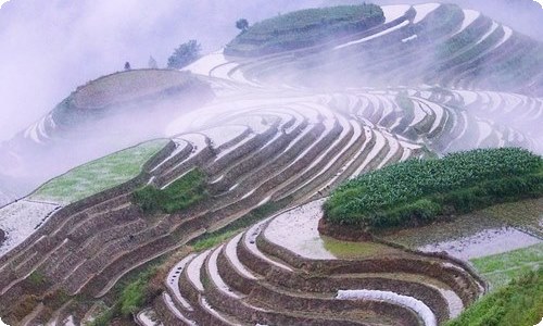 政风行风工作总结-资源网