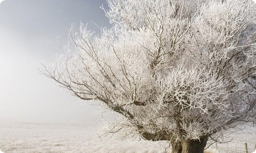 “同伴教育关系你我他”主题活动策划-资源网