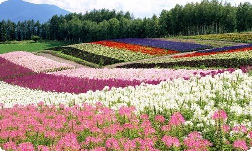 精选体育工作计划集锦五篇-资源网