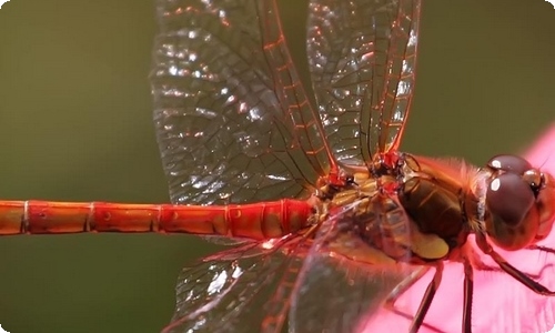新年度个人工作计划-资源网