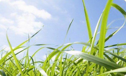 节能减排倡议书-资源网