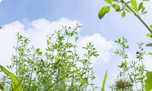关于春节期间安全工作方案-资源网