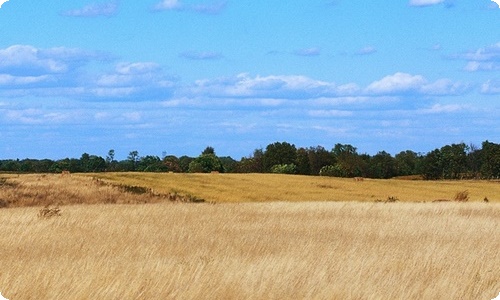 建筑工程个人年度工作总结-资源网