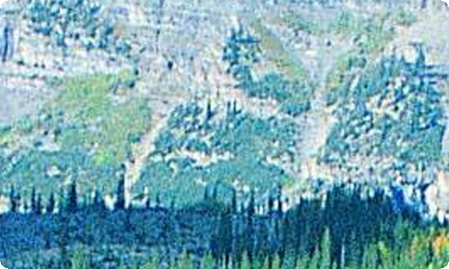 总务处工作计划-资源网