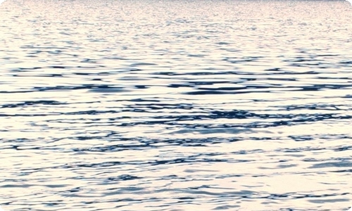 生物教师工作总结-资源网