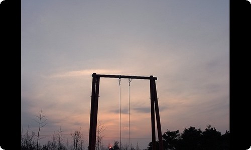 小学教科研工作总结-资源网