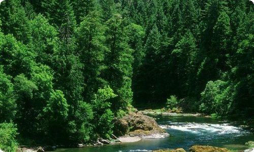 小学生预防溺水倡议书-资源网