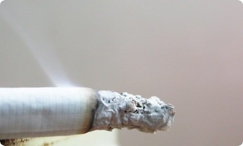 中秋节活动策划集合15篇-资源网