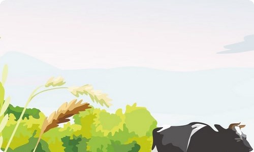 幼儿园圣诞节活动总结-资源网