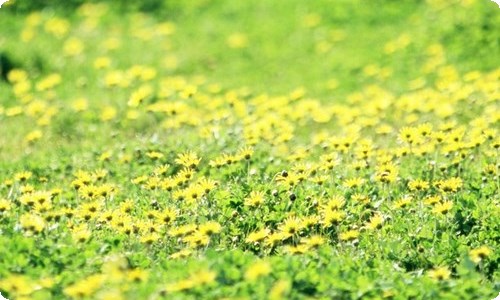 保险公司面试简单自我介绍-资源网