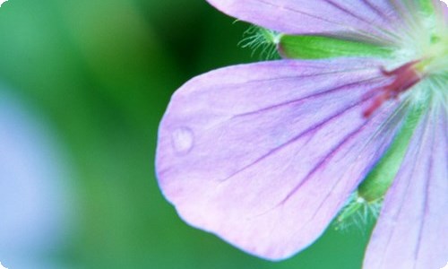 大学生自我介绍-资源网