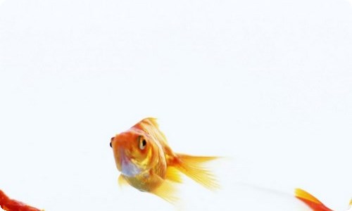 勤俭节约倡议书-资源网