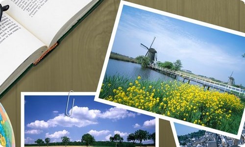 感恩节活动策划集合15篇-资源网