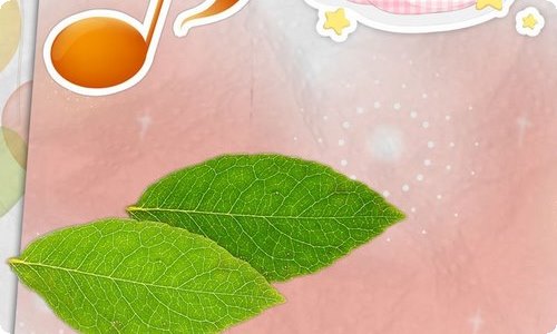 幼儿园小班个人工作计划-资源网