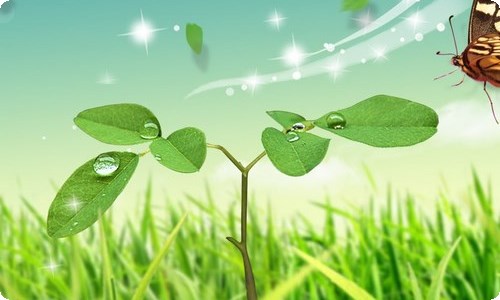 幼儿园老师自我介绍-资源网