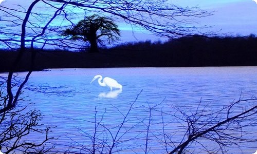 社团活动策划方案-资源网