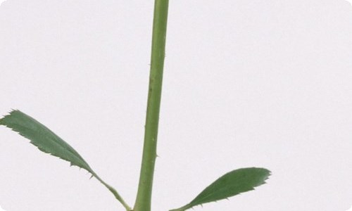 高中教师年度考核工作总结-资源网