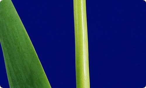 继续教育个人学习总结-资源网