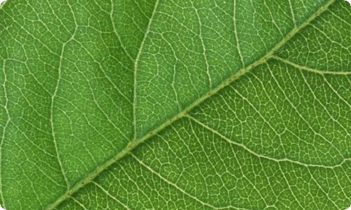 文艺部工作总结-资源网