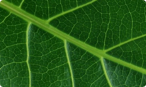 信用社年度工作总结-资源网