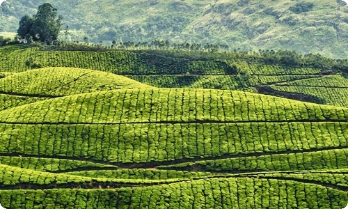 超市促销活动总结-资源网