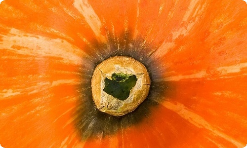 销售人员个人工作计划-资源网