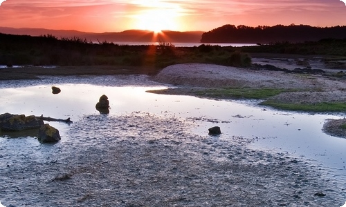 大学活动策划-资源网