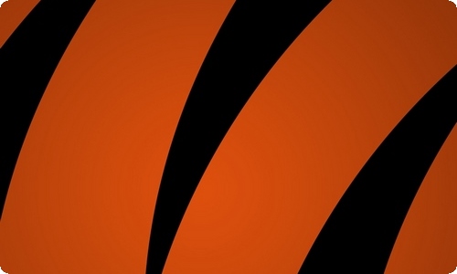 爱鸟护鸟倡议书-资源网