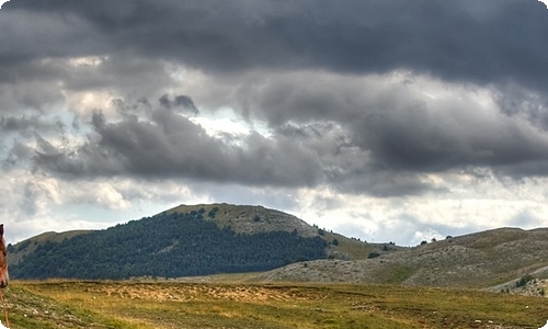 班级活动策划-资源网