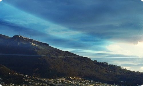 保安公司经理年度总结-资源网