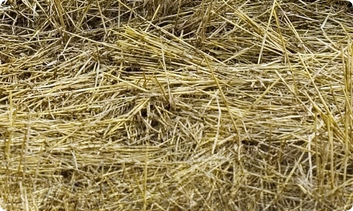 高中英语教师工作总结(15篇)-资源网